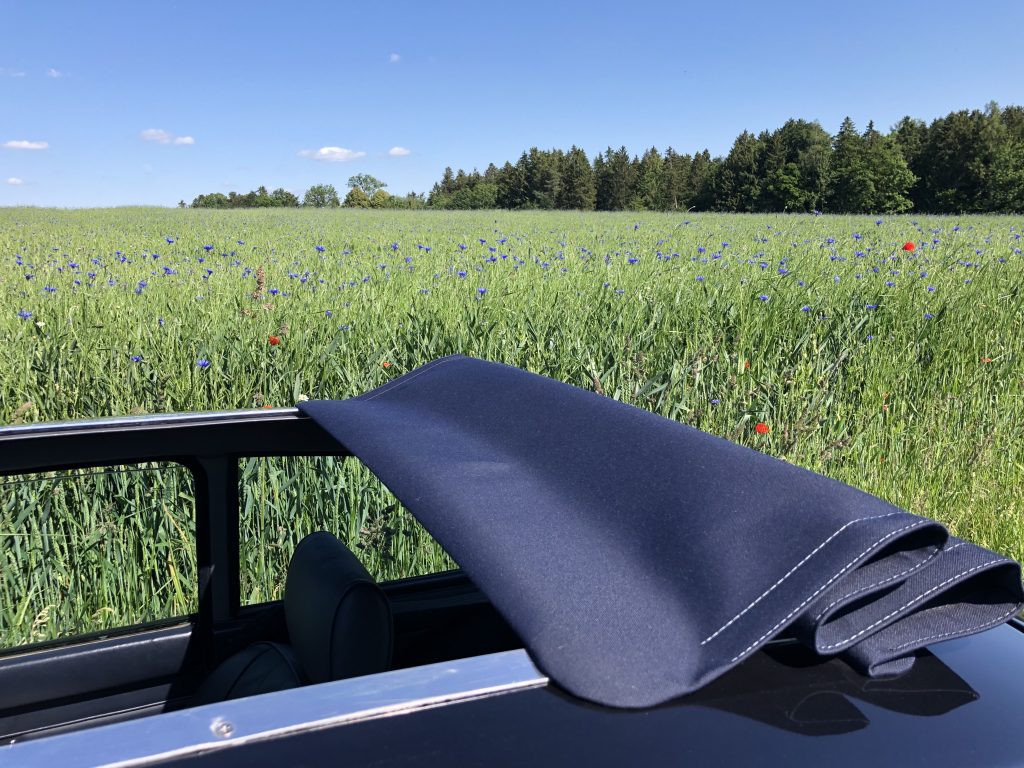 Kornblumen soweit das Auge reicht und davor ein dunkelblaues Auto.